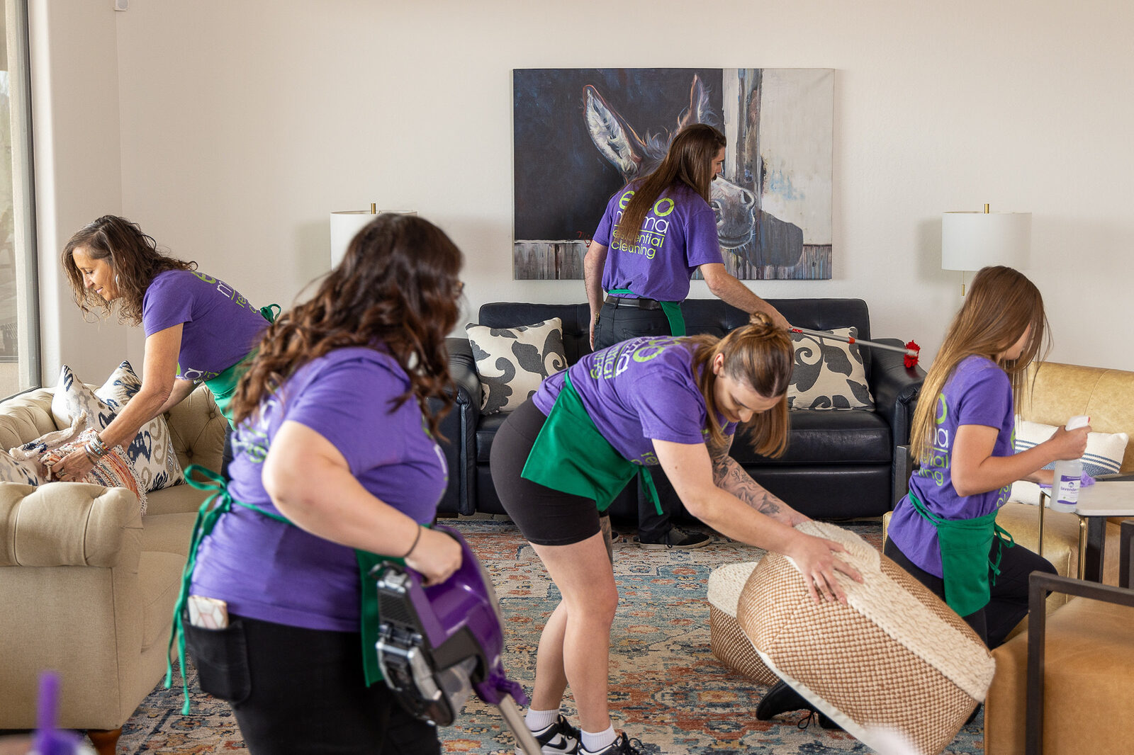 Eco Mama professional house cleaning in Phoenix and Scottsdale